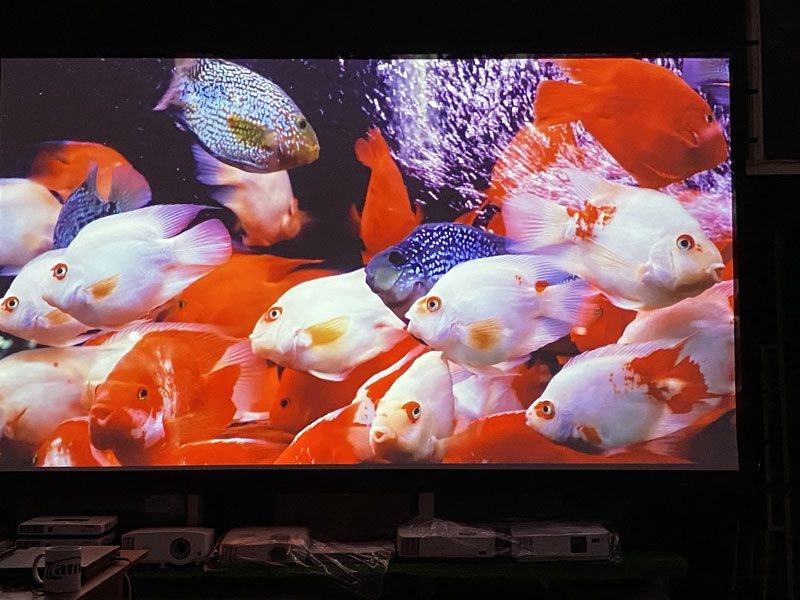 benq-mh560-1 benq mh560 1