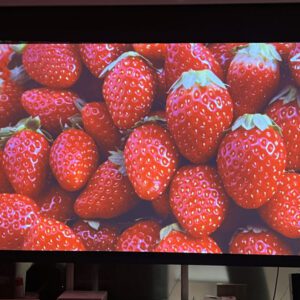 Máy chiếu sony-ch355