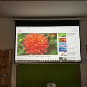 Man chieu dien ti le 16.9 1 300x300 1