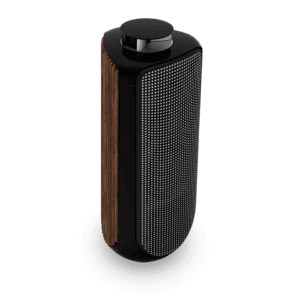 Loa BO Beolab 50 Zamaco Audio 4