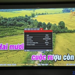 Máy chiếu 4k Viewsonic PX-747 đã chiếu 1000h Viewsonic px 747 zamaco 13 1