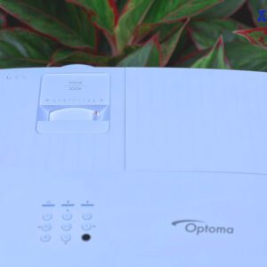 z4186132810355 09cdde72da649568f9e9998d38c3781e 1