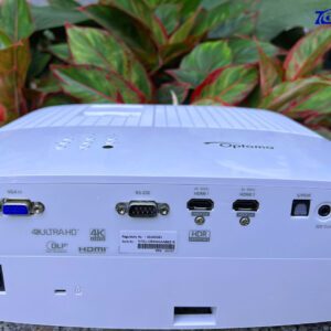 z4186133013180 4e33e844b6797e530a135acb3384169c 1