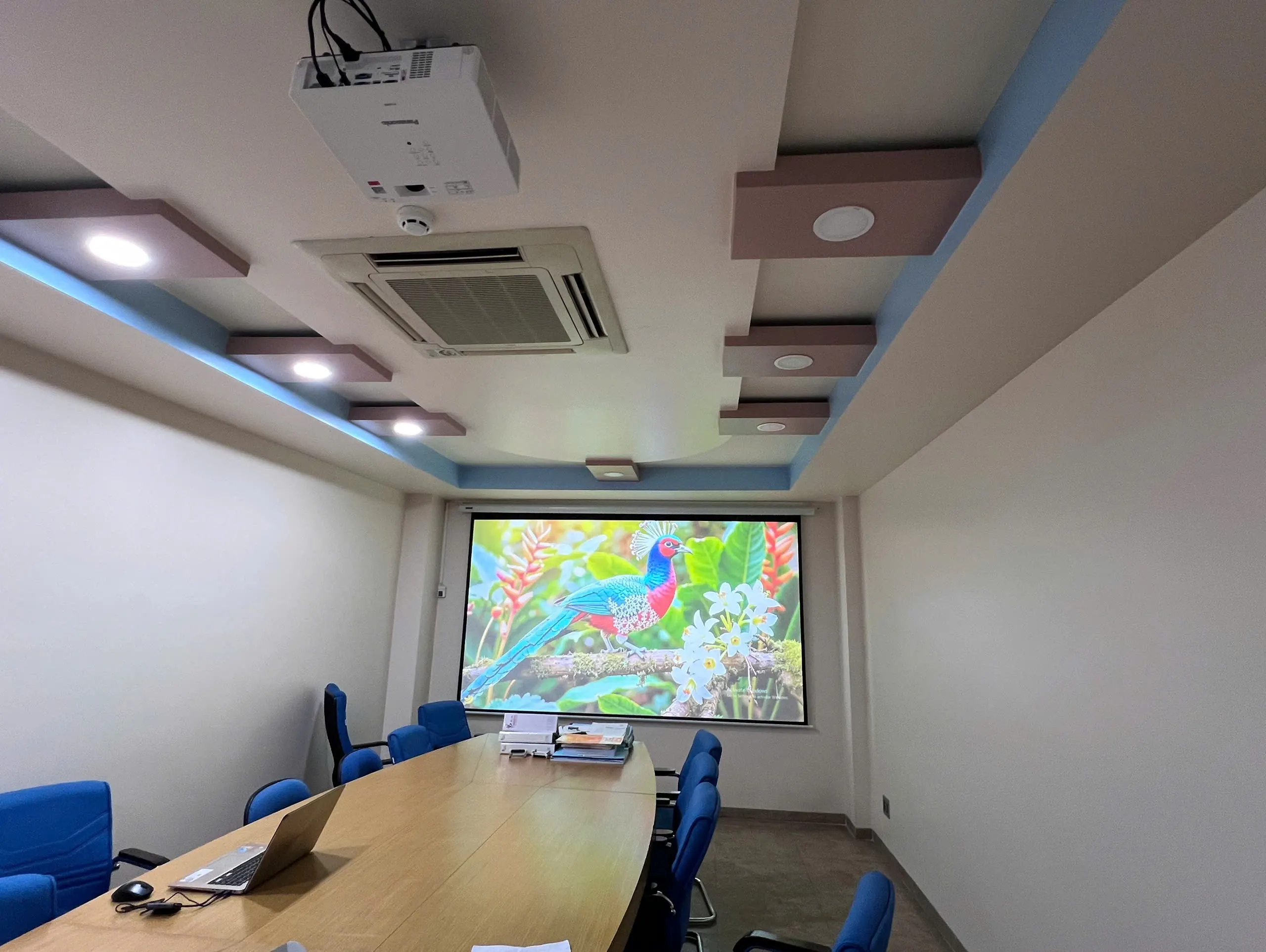 Lắp đặt Panasonic PT-LMZ460