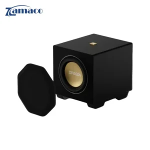 Loa Subwoofer Nakamichi Dragon Modular