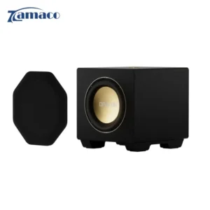 Loa Subwoofer Nakamichi Dragon Modular